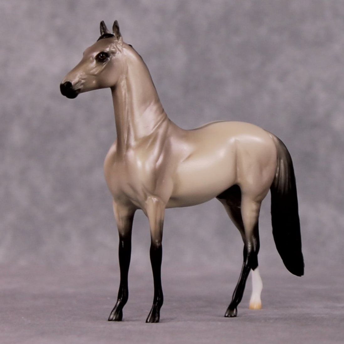 "Iambic" OOAK Dappled Grulla Morgan Chip By Ellen Robbins Shakespeare Sonnet 18 & 130 Chips CL25