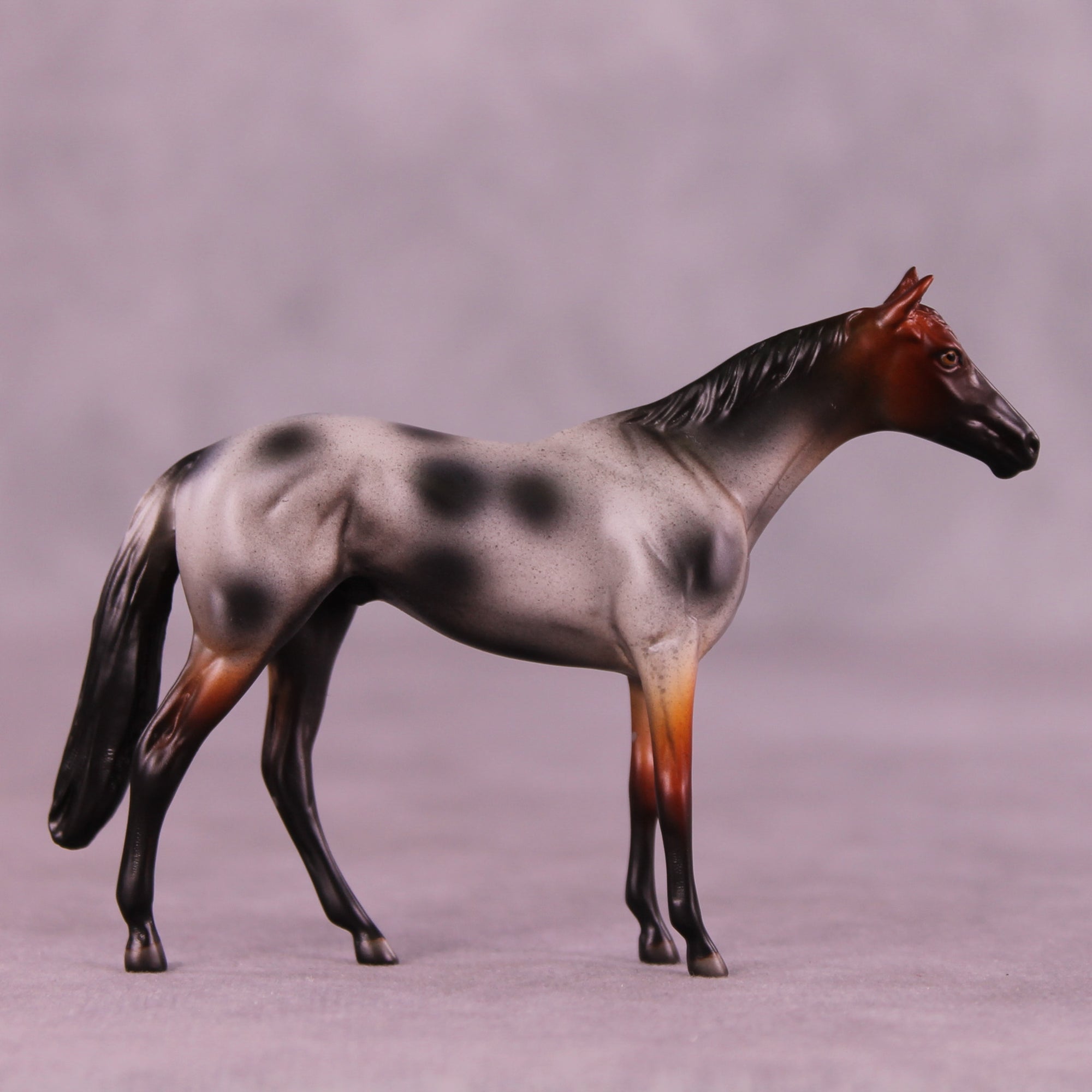 Brown Sugar Boba LE-5 Chip Thoroughbred by Anna Rieck October $99 Chips