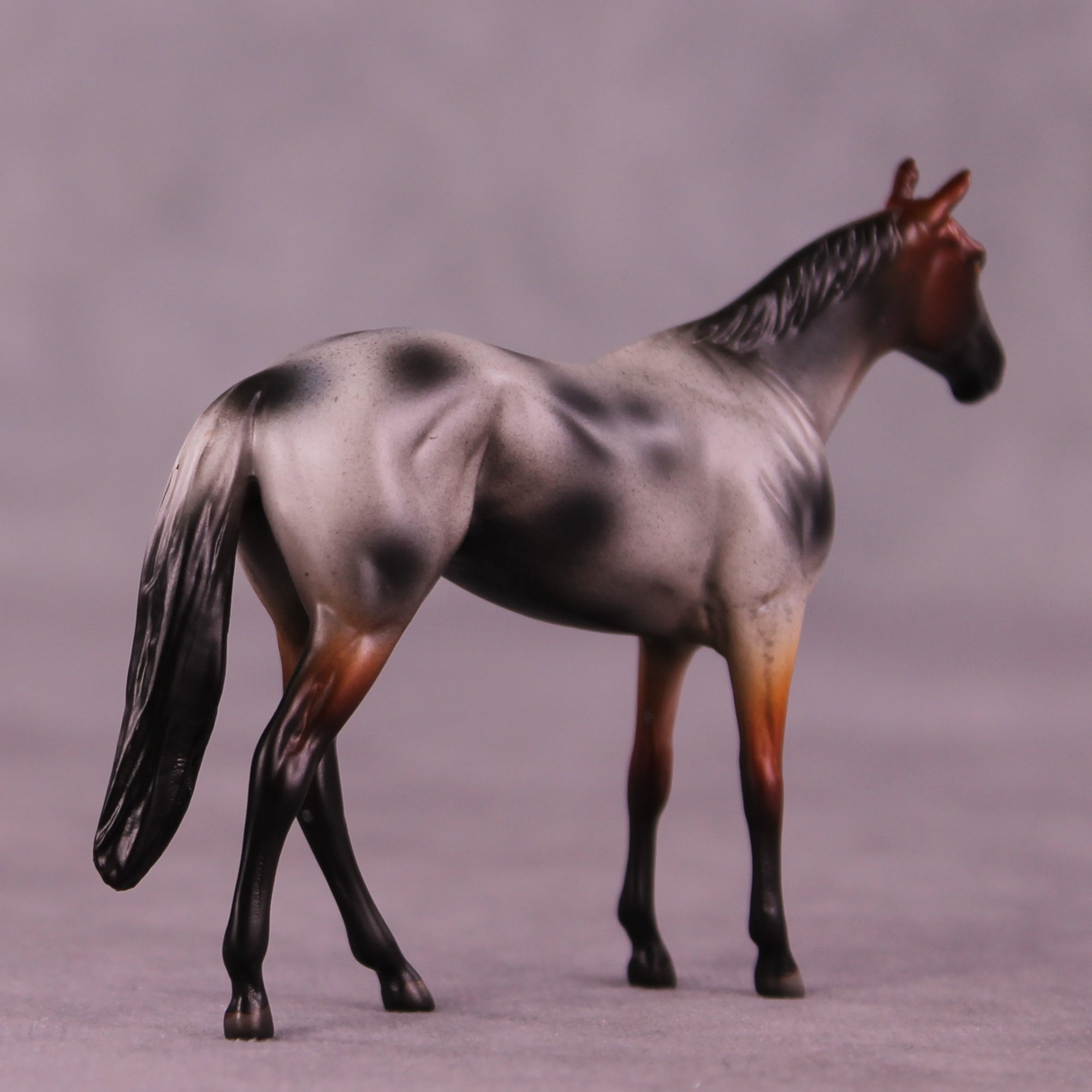 Brown Sugar Boba LE-5 Chip Thoroughbred by Anna Rieck October $99 Chips