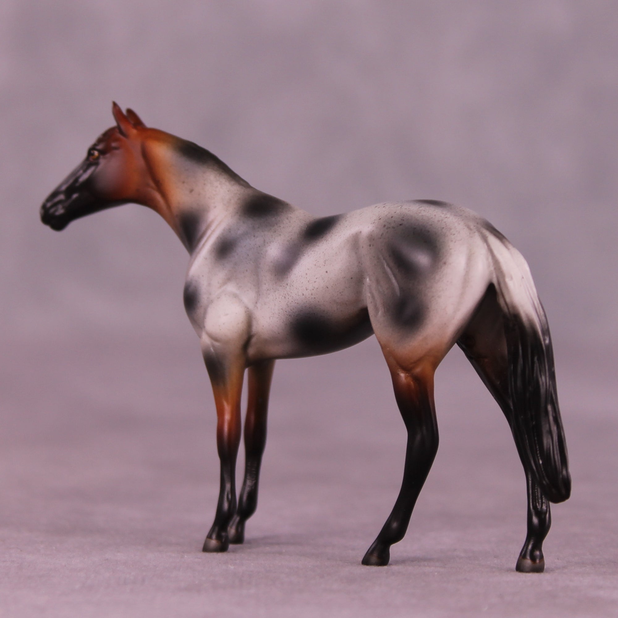 Brown Sugar Boba LE-5 Chip Thoroughbred by Anna Rieck October $99 Chips