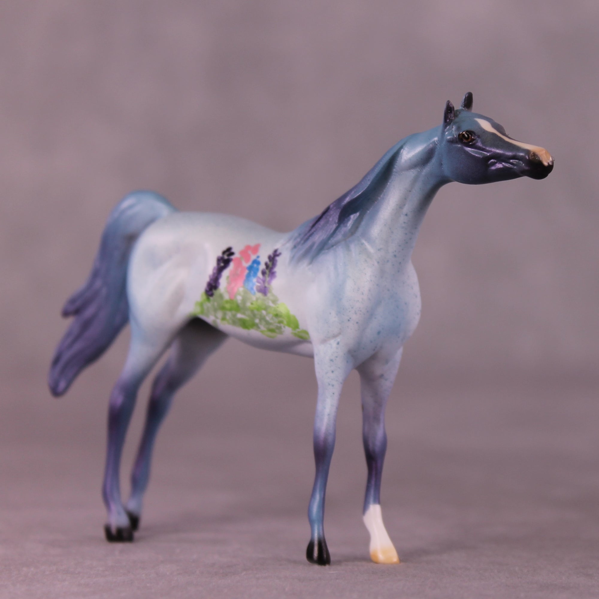 SAMPLE Tiddles Chip Arabian by Dawn Quick 11/25/2025 SS1125