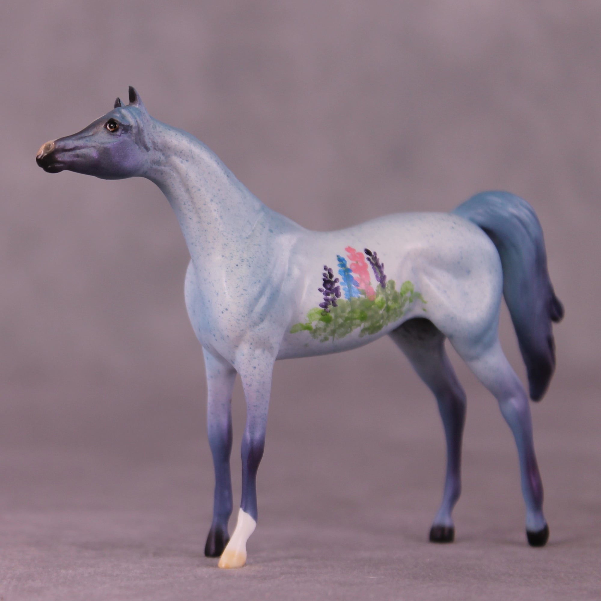 SAMPLE Tiddles Chip Arabian by Dawn Quick 11/25/2025 SS1125