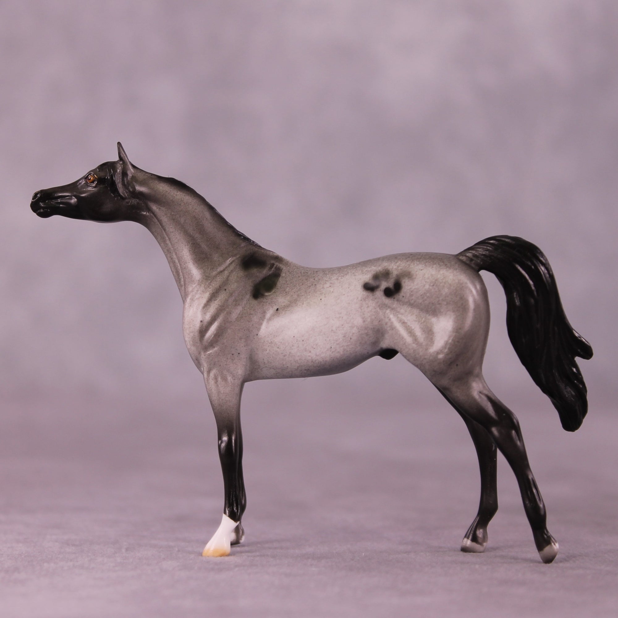 Tiddles or Min LE-12 Arabian Chip By Dawn Quick FS25