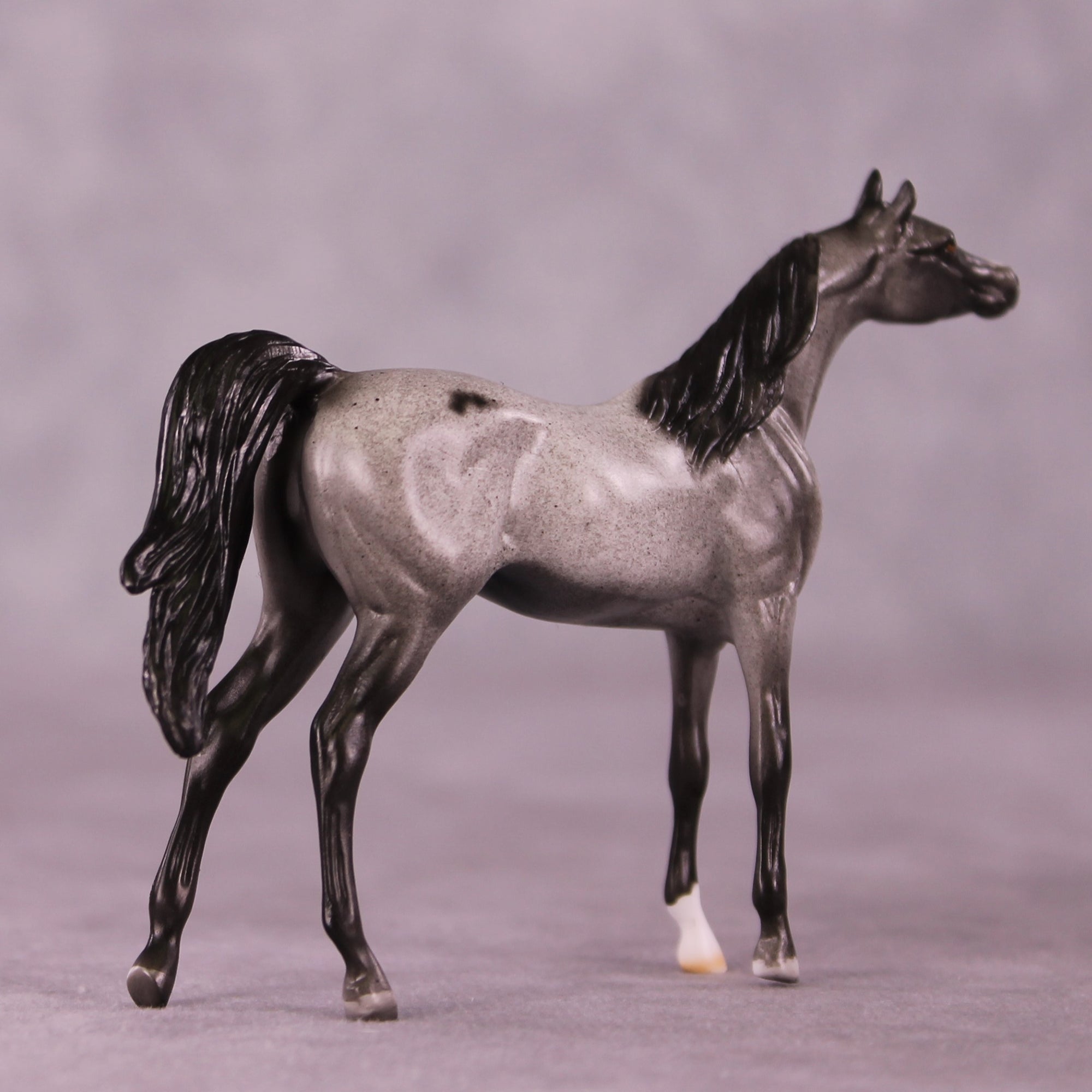 Tiddles or Min LE-12 Arabian Chip By Dawn Quick FS25