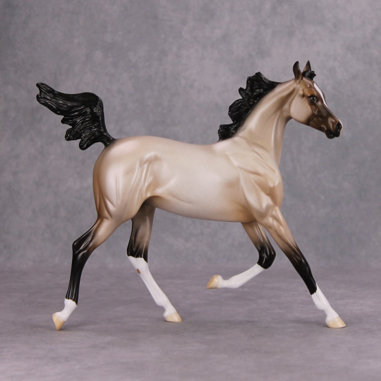 Ghost of a Roan OOAK Bay Roan Arab Yearling By Ellen Robbins MM24