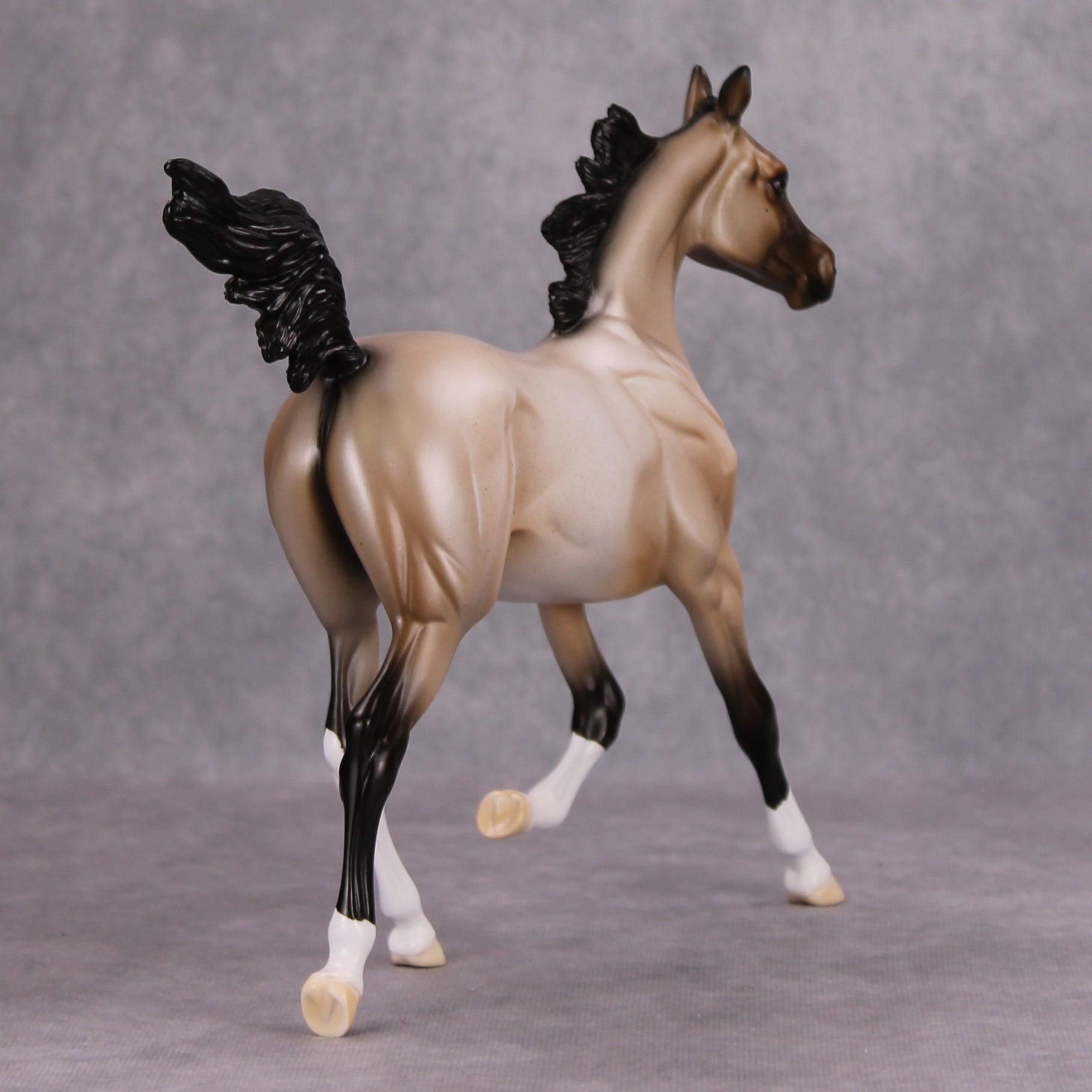 Ghost of a Roan OOAK Bay Roan Arab Yearling By Ellen Robbins MM24