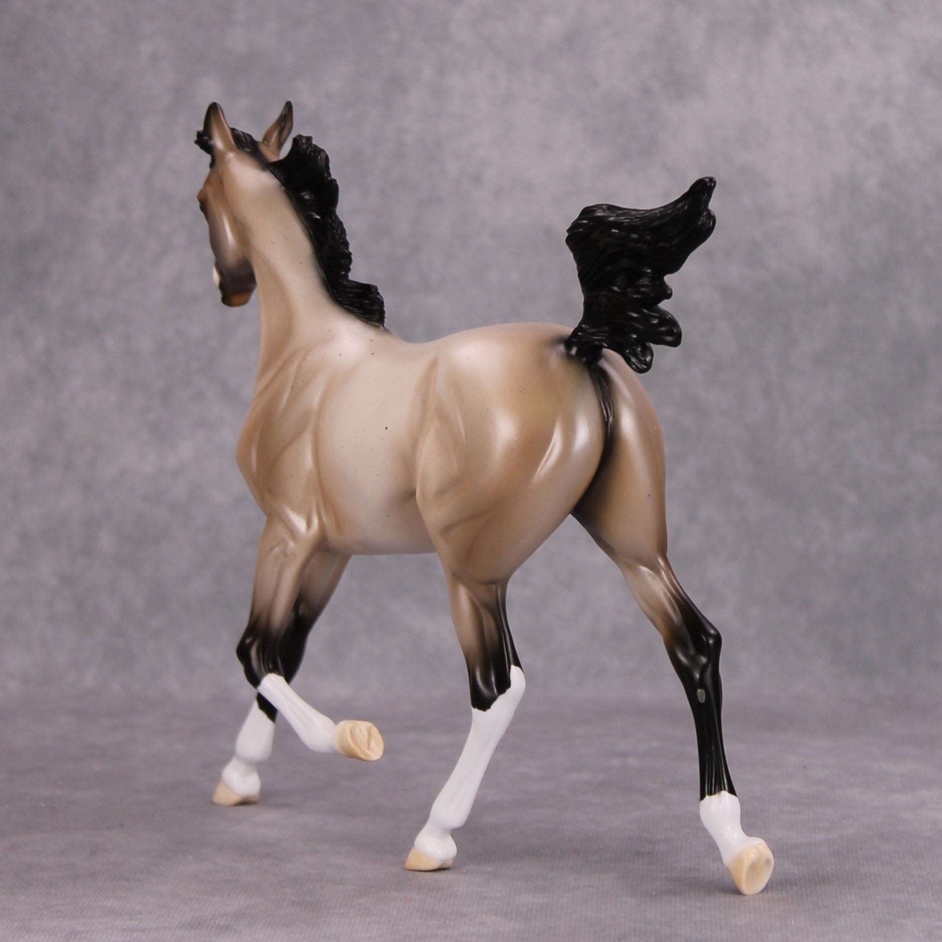 Ghost of a Roan OOAK Bay Roan Arab Yearling By Ellen Robbins MM24