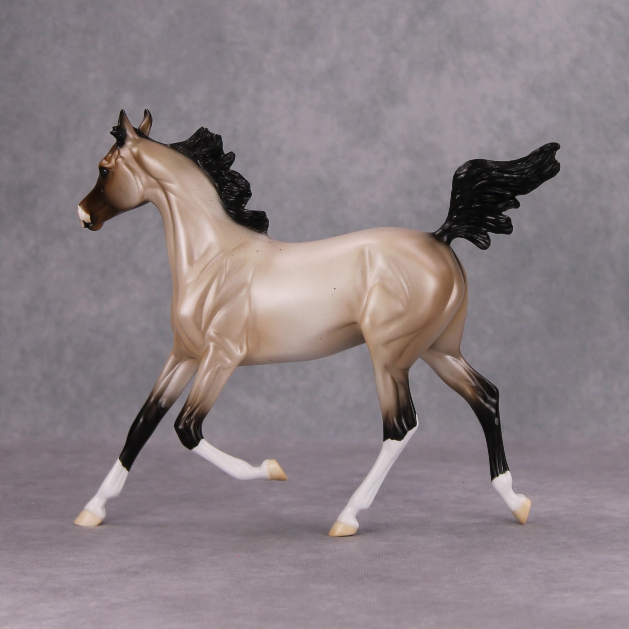 Ghost of a Roan OOAK Bay Roan Arab Yearling By Ellen Robbins MM24