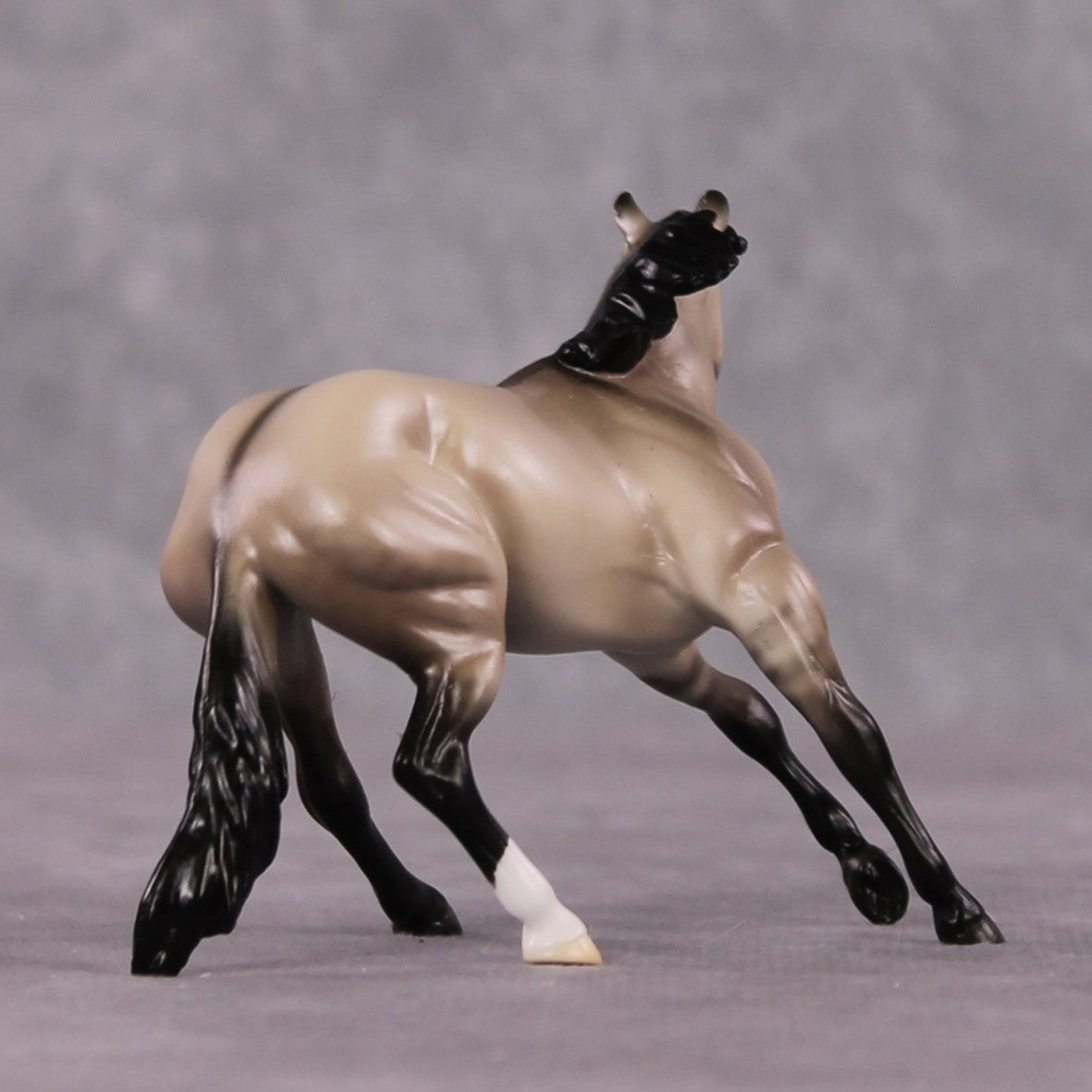 "Stanza" OOAK Dappled Grulla Cutter Chip By Ellen Robbins Shakespeare Sonnet 18 &amp; 130 Chips CL25