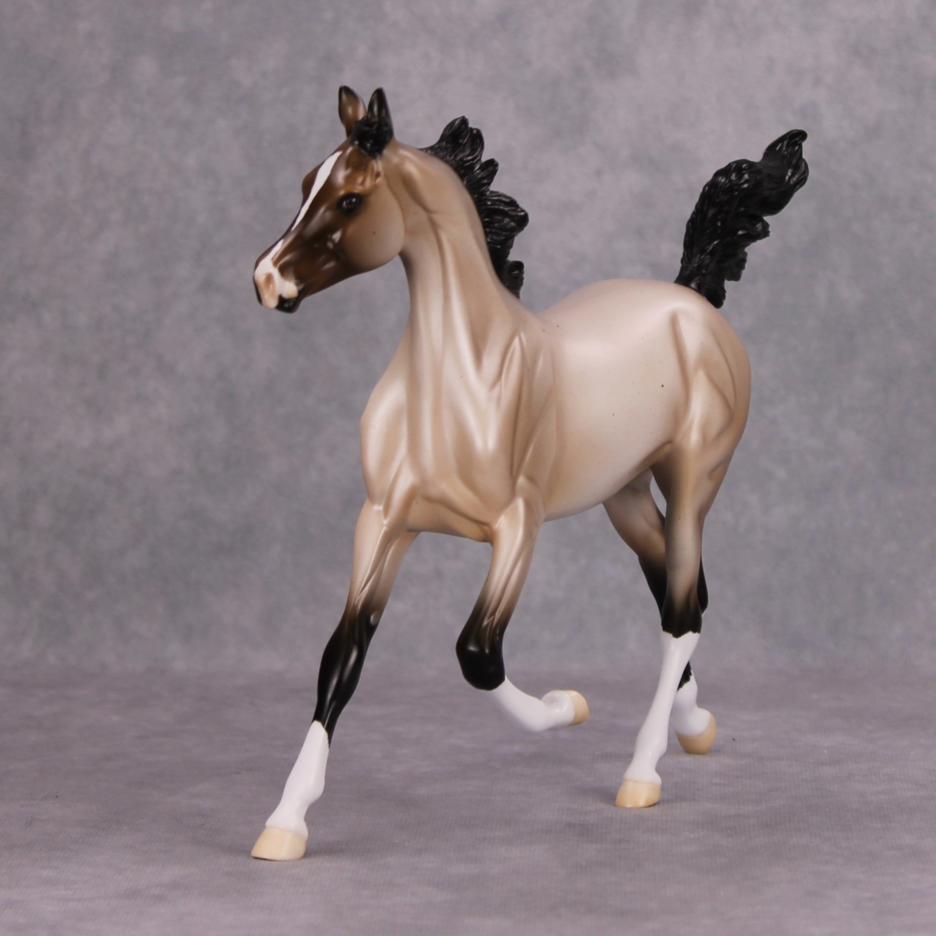 Ghost of a Roan OOAK Bay Roan Arab Yearling By Ellen Robbins MM24