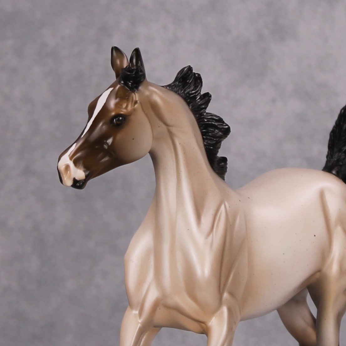 Ghost of a Roan OOAK Bay Roan Arab Yearling By Ellen Robbins MM24