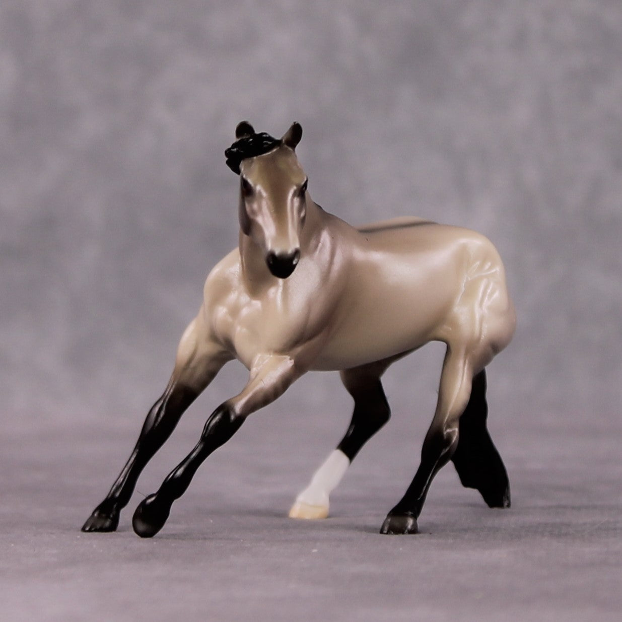 "Stanza" OOAK Dappled Grulla Cutter Chip By Ellen Robbins Shakespeare Sonnet 18 &amp; 130 Chips CL25