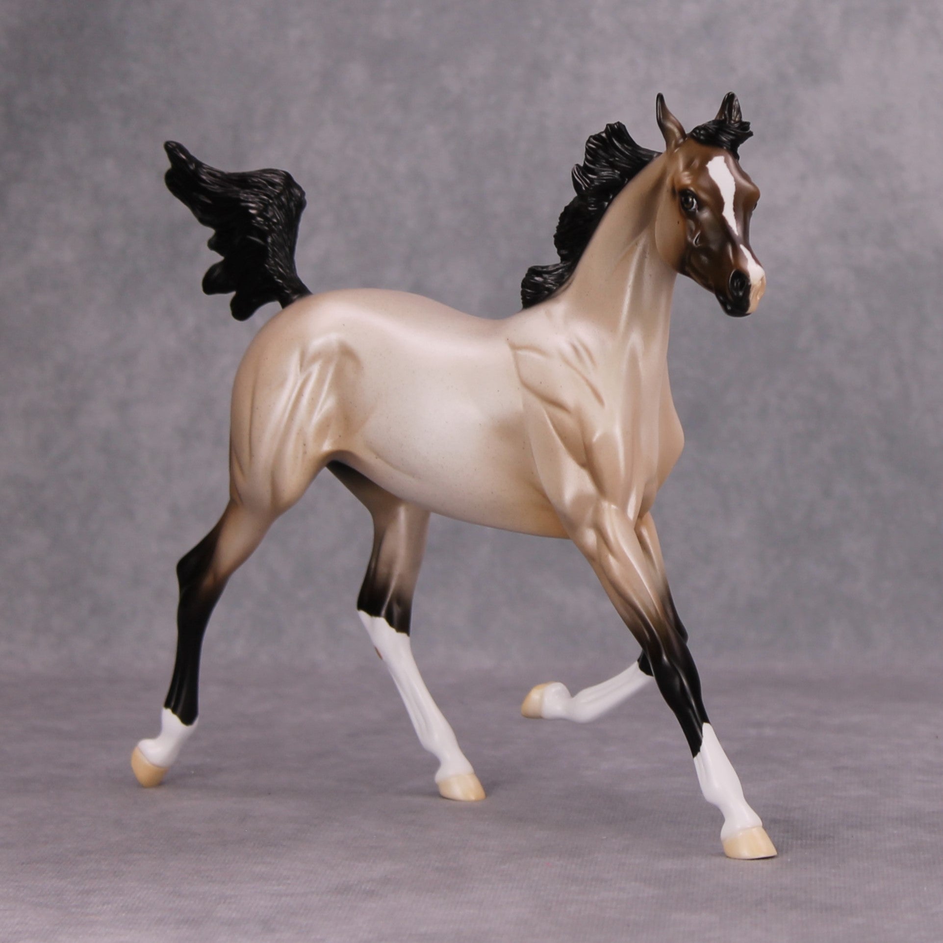 Ghost of a Roan OOAK Bay Roan Arab Yearling By Ellen Robbins MM24
