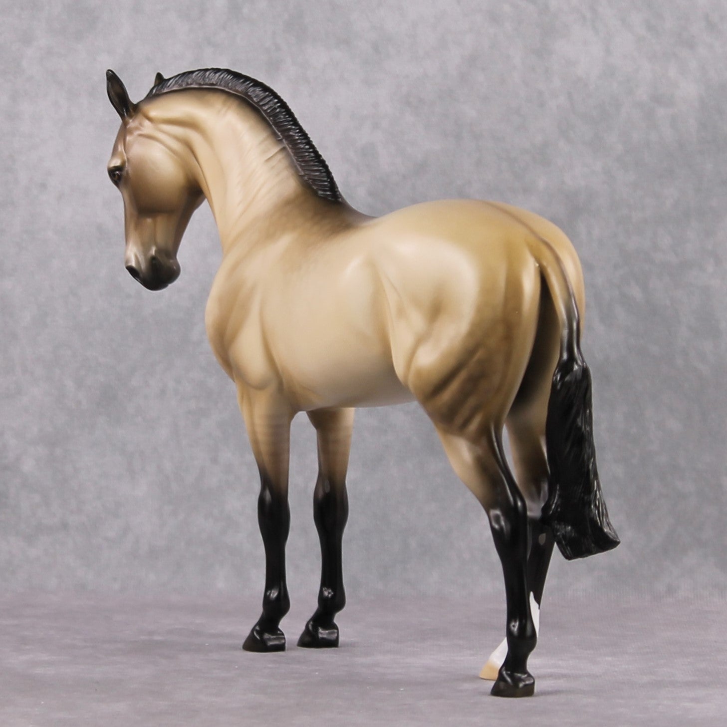 "Rare Love" Pre Order LE-15 Dappled Grulla Andalusian Stone Painted by Ellen Robbins - February 2025 Sonnets 18 &amp; 130 Shakespeare CL25