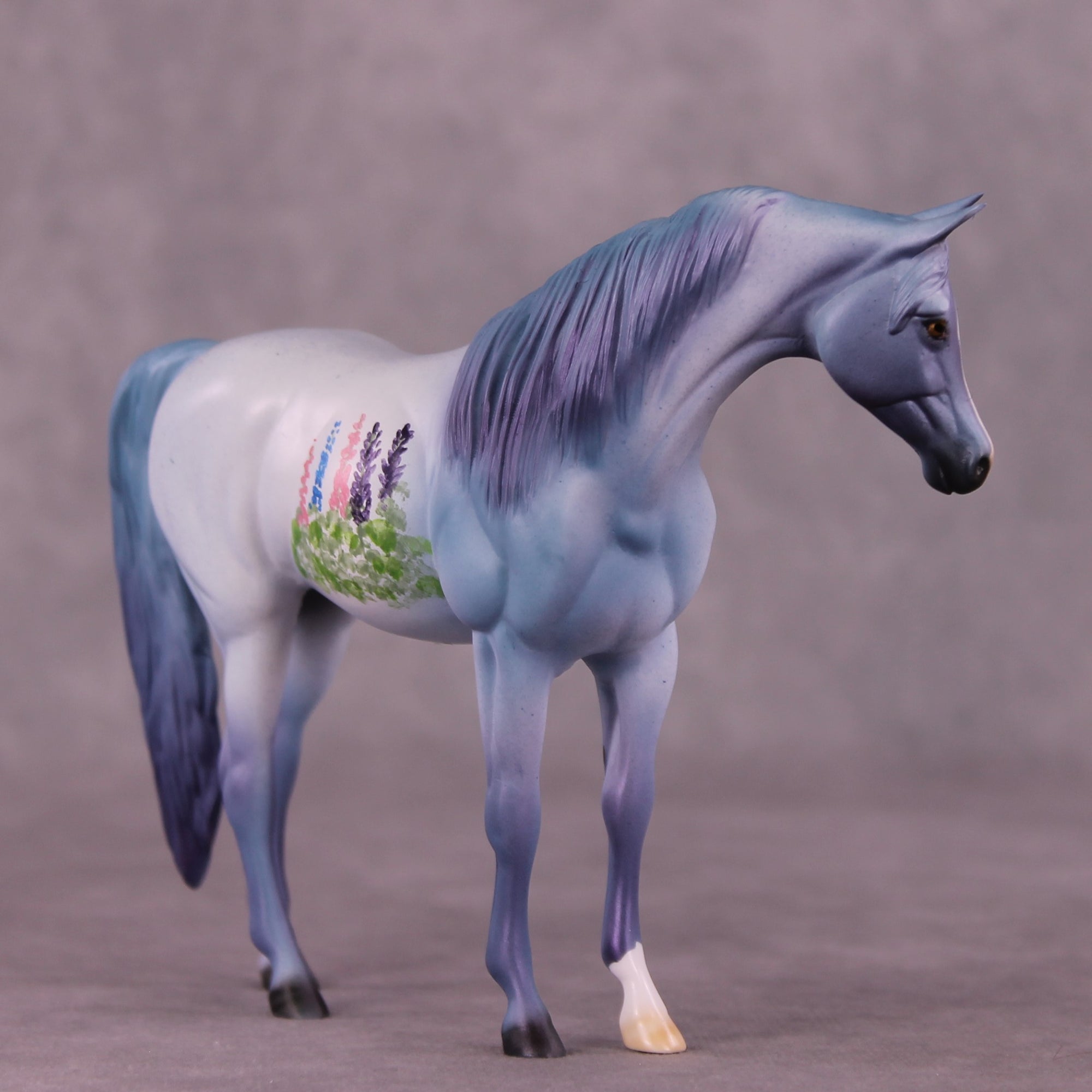 Foxhill Nina or Faust LE-12 Pebble Arabian By Dawn Quick FS25