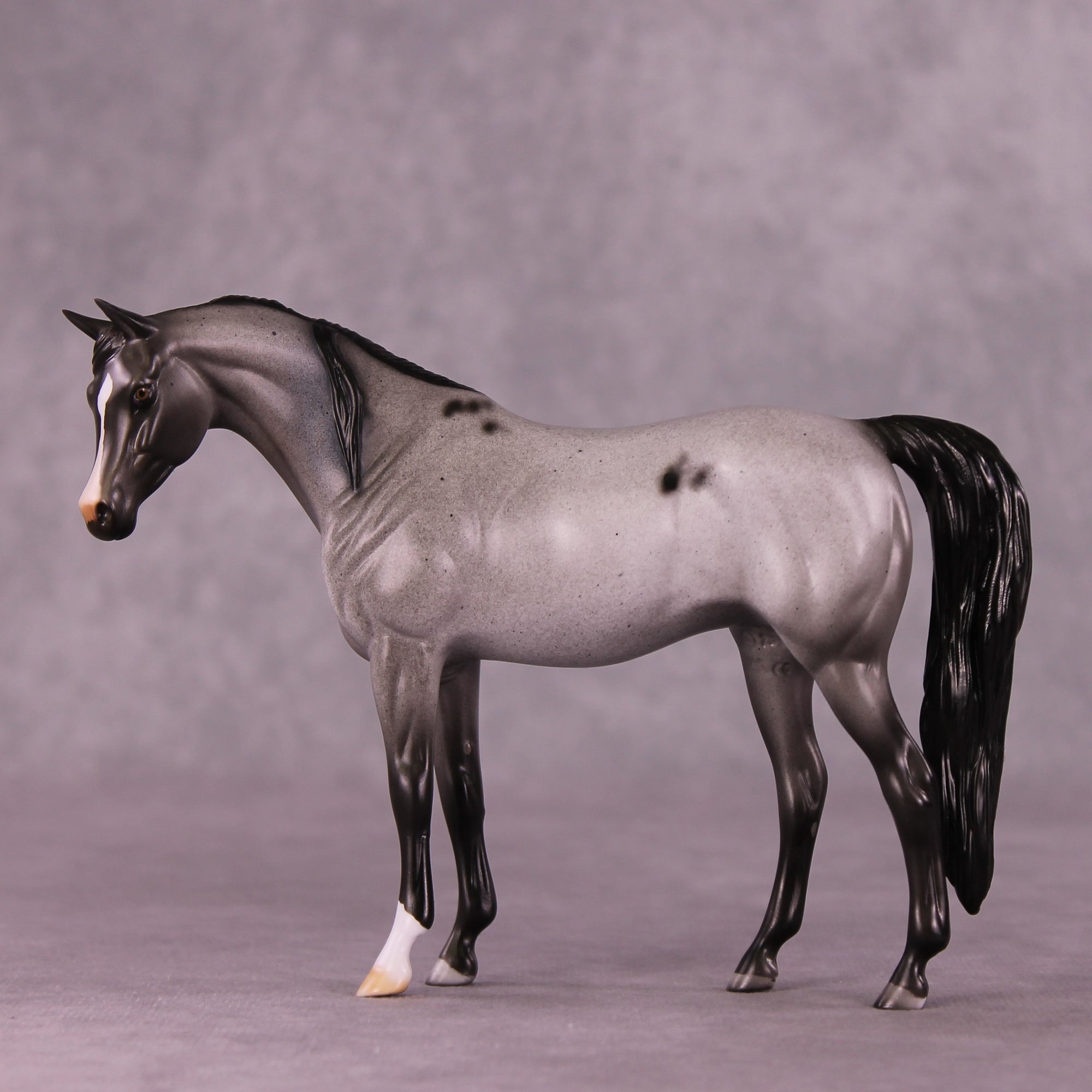 Foxhill Nina or Faust LE-12 Pebble Arabian By Dawn Quick FS25