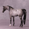 Foxhill Nina or Faust LE-12 Pebble Arabian By Dawn Quick FS25