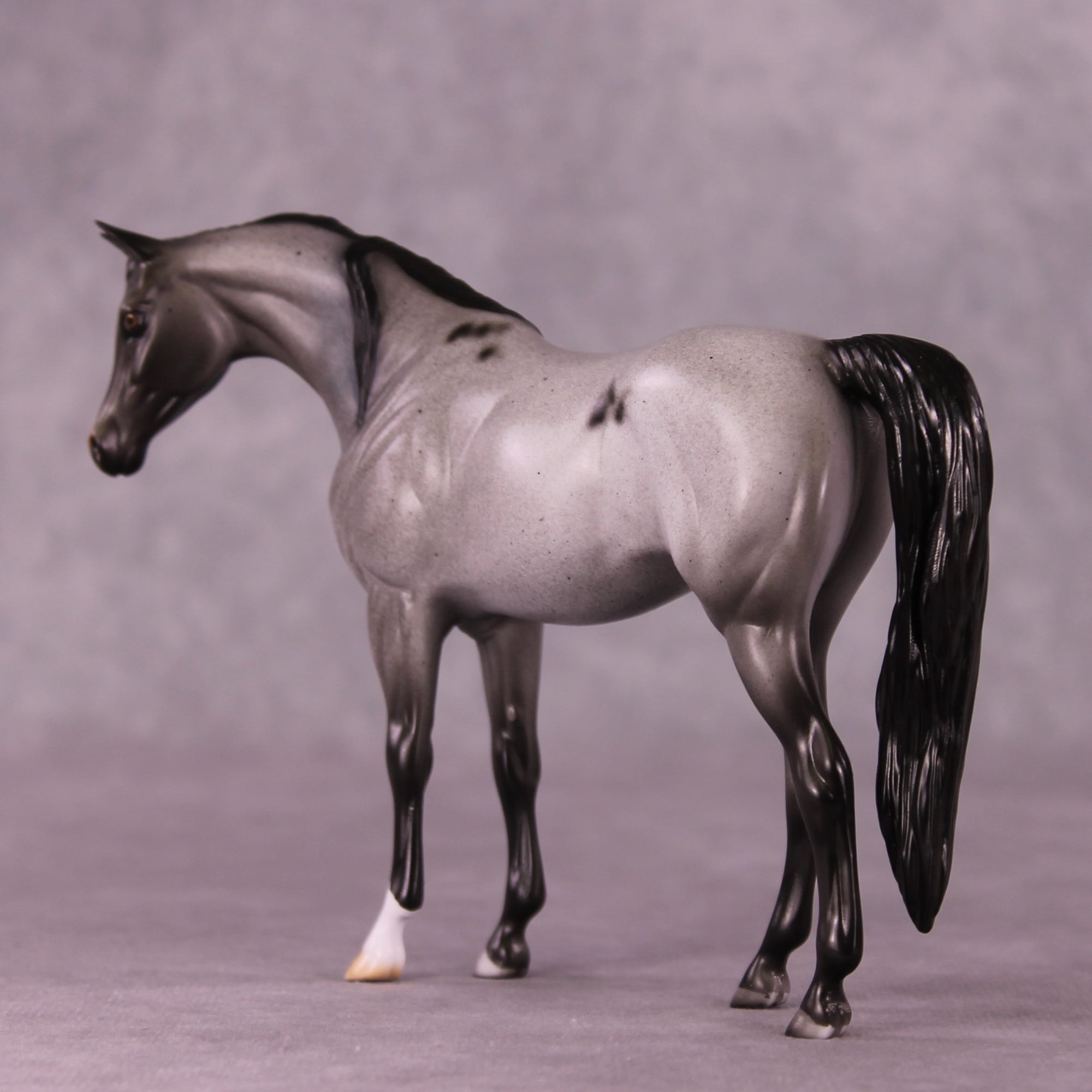 SAMPLE Faust Pebble Arabian by Dawn Quick 11/25/2025 SS1125