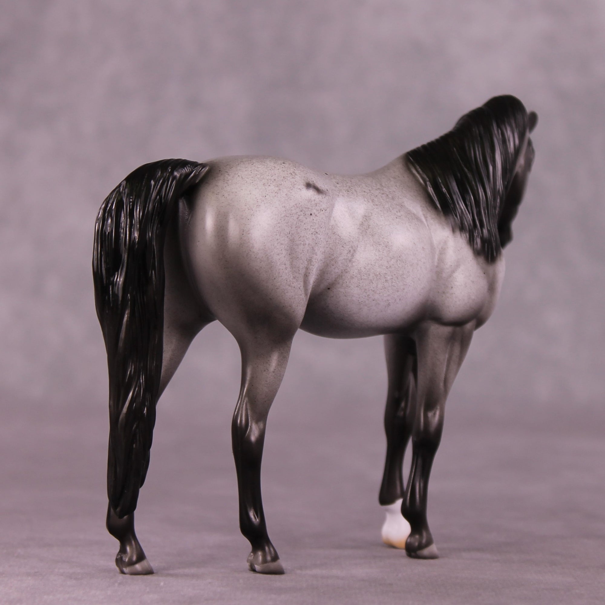 Foxhill Nina or Faust LE-12 Pebble Arabian By Dawn Quick FS25