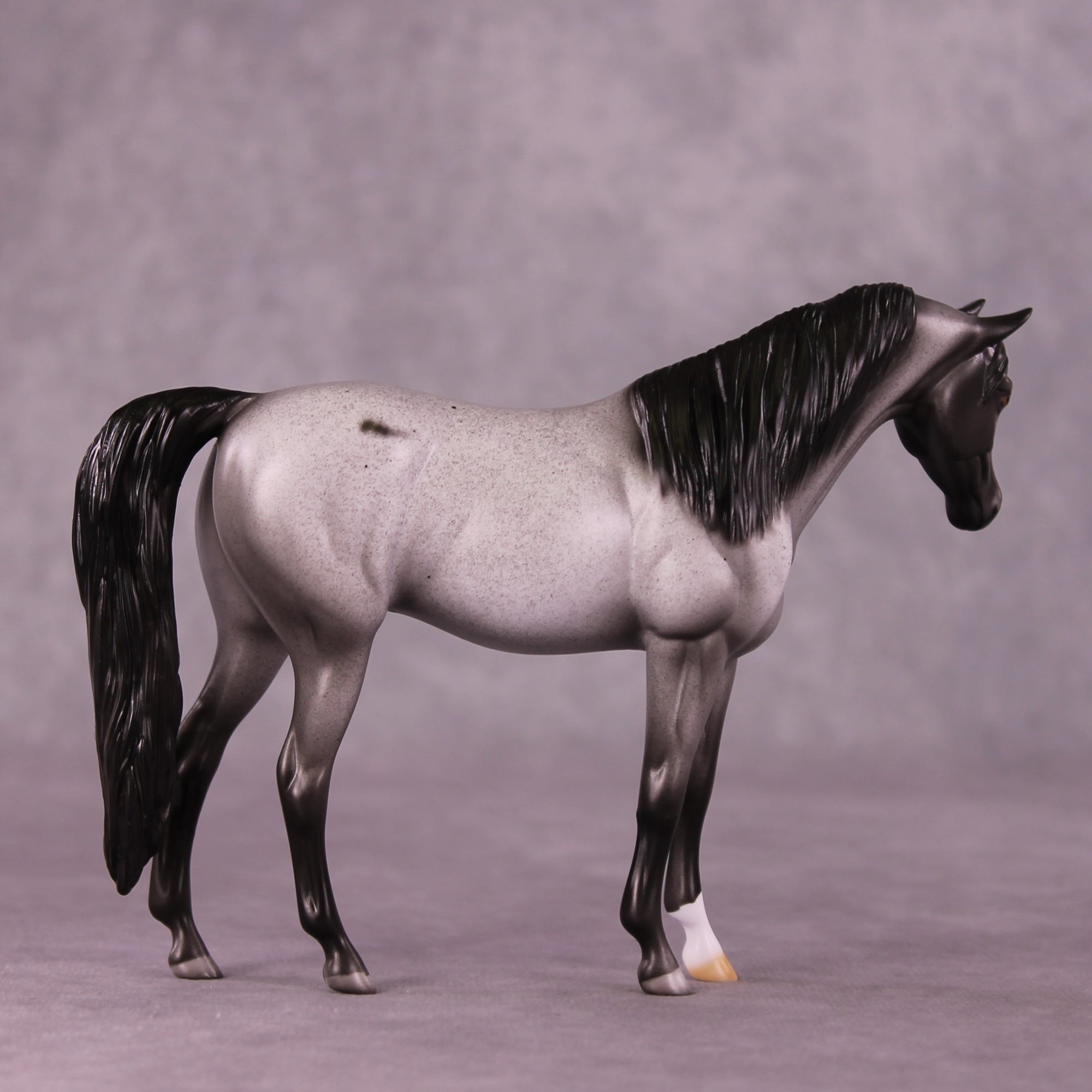 SAMPLE Faust Pebble Arabian by Dawn Quick 11/25/2025 SS1125