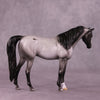 Foxhill Nina or Faust LE-12 Pebble Arabian By Dawn Quick FS25