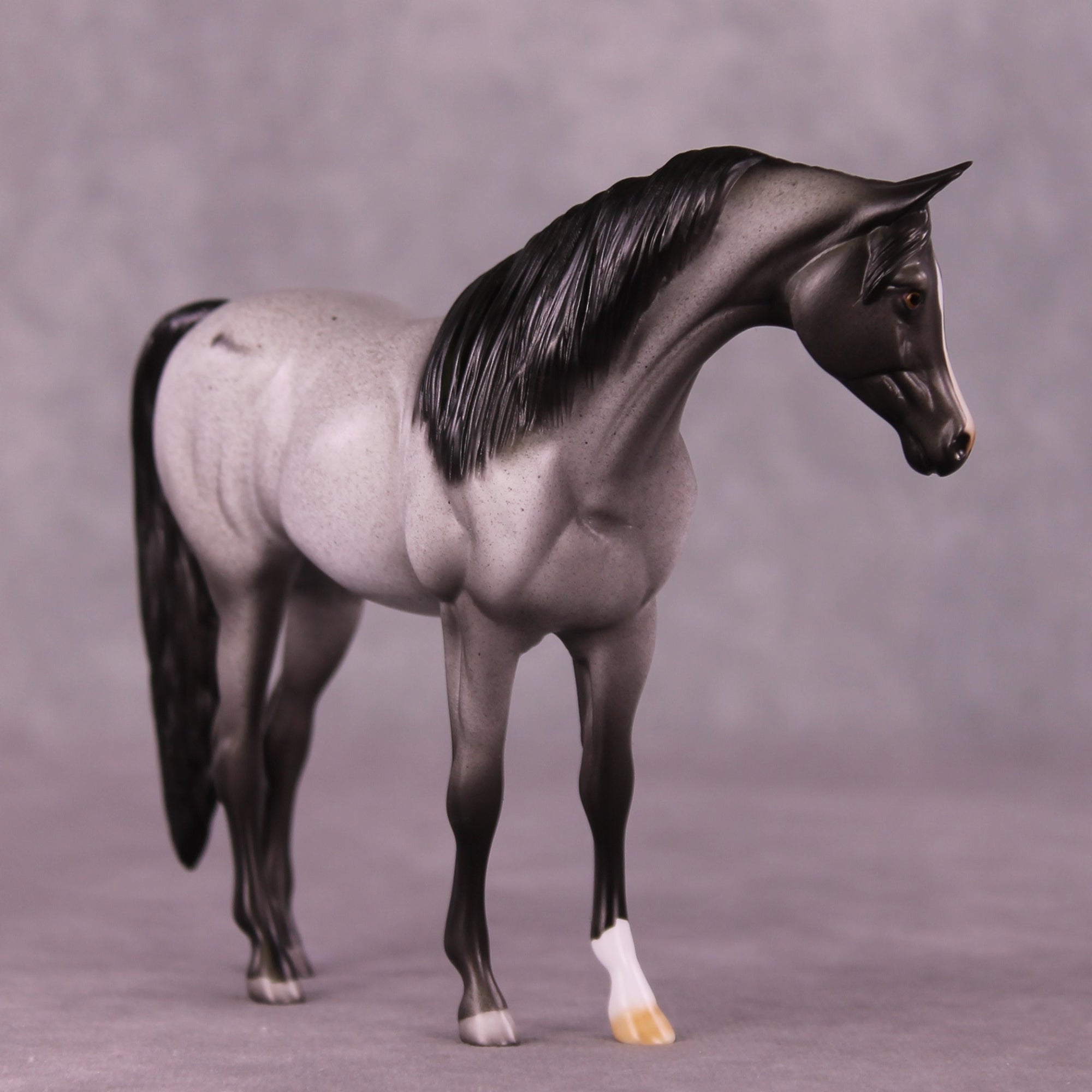 Foxhill Nina or Faust LE-12 Pebble Arabian By Dawn Quick FS25