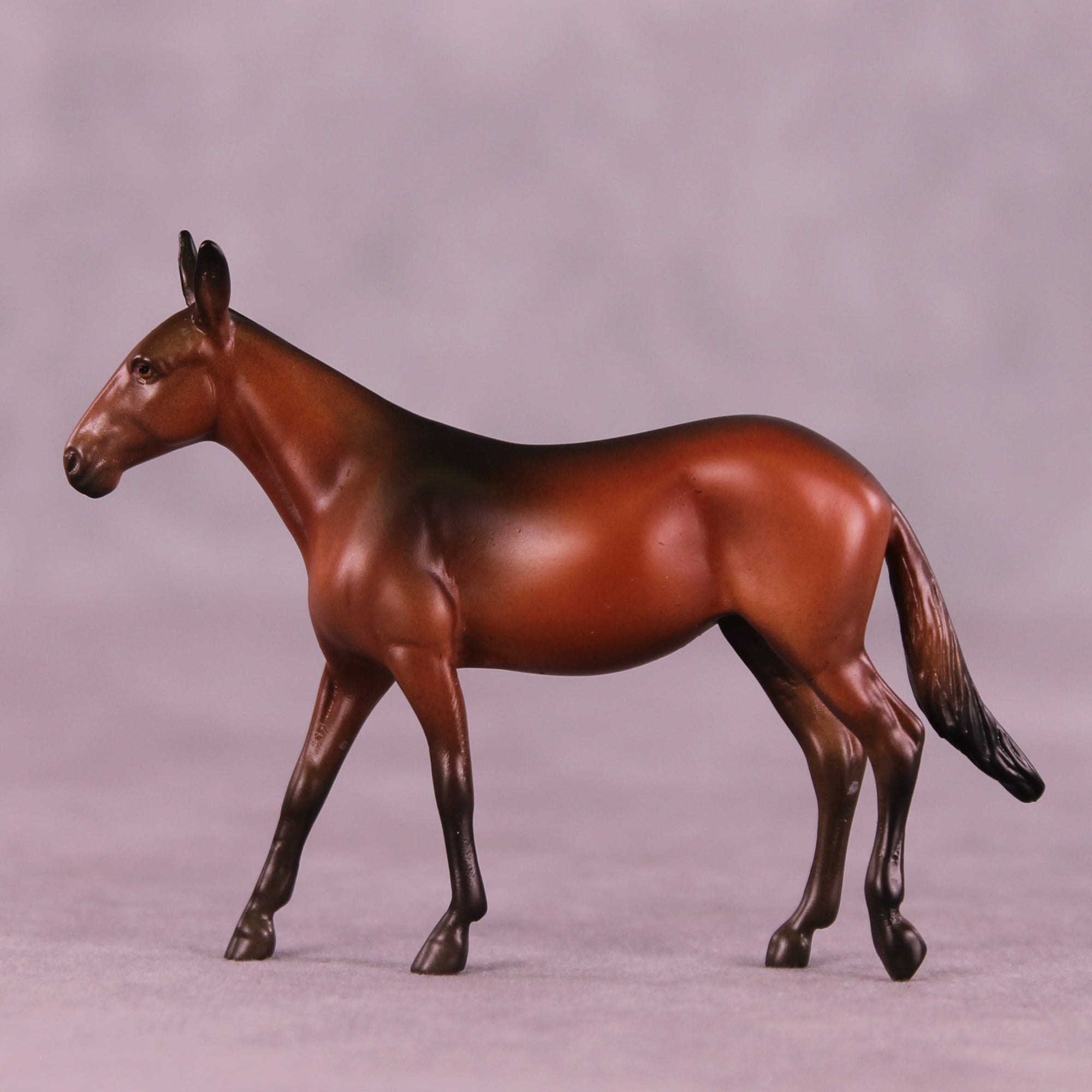 Mocha Latte LE-5 Chip Mule by Anna Rieck October $99 Chips