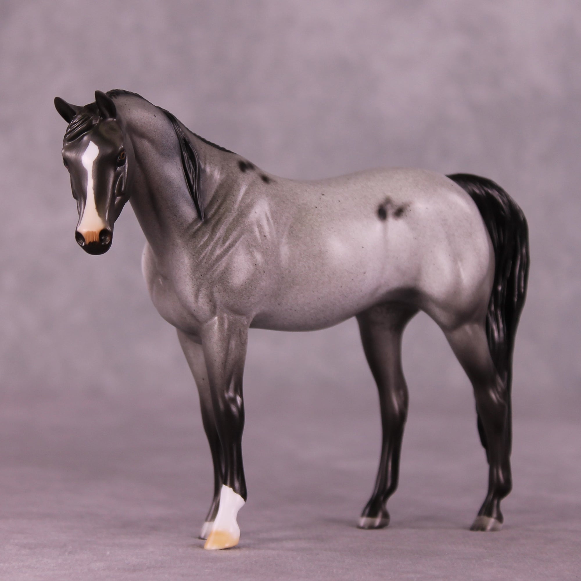 Foxhill Nina or Faust LE-12 Pebble Arabian By Dawn Quick FS25