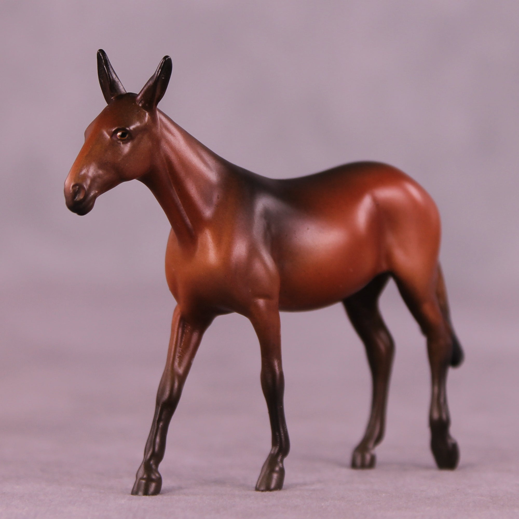 Mocha Latte LE-5 Chip Mule by Anna Rieck October $99 Chips