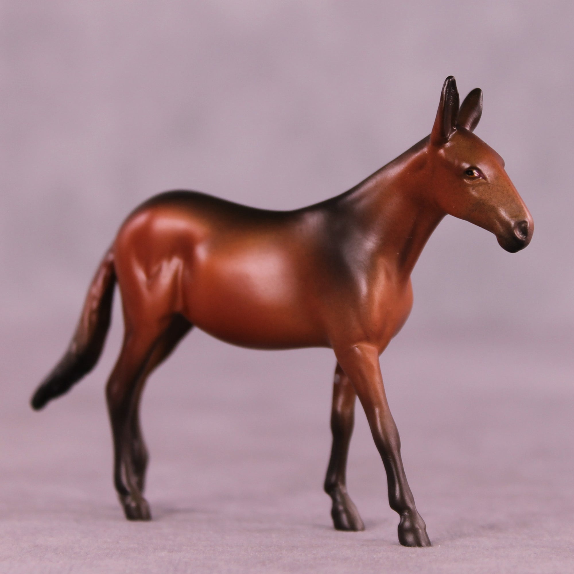 Mocha Latte LE-5 Chip Mule by Anna Rieck October $99 Chips