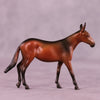 Mocha Latte LE-5 Chip Mule by Anna Rieck October $99 Chips