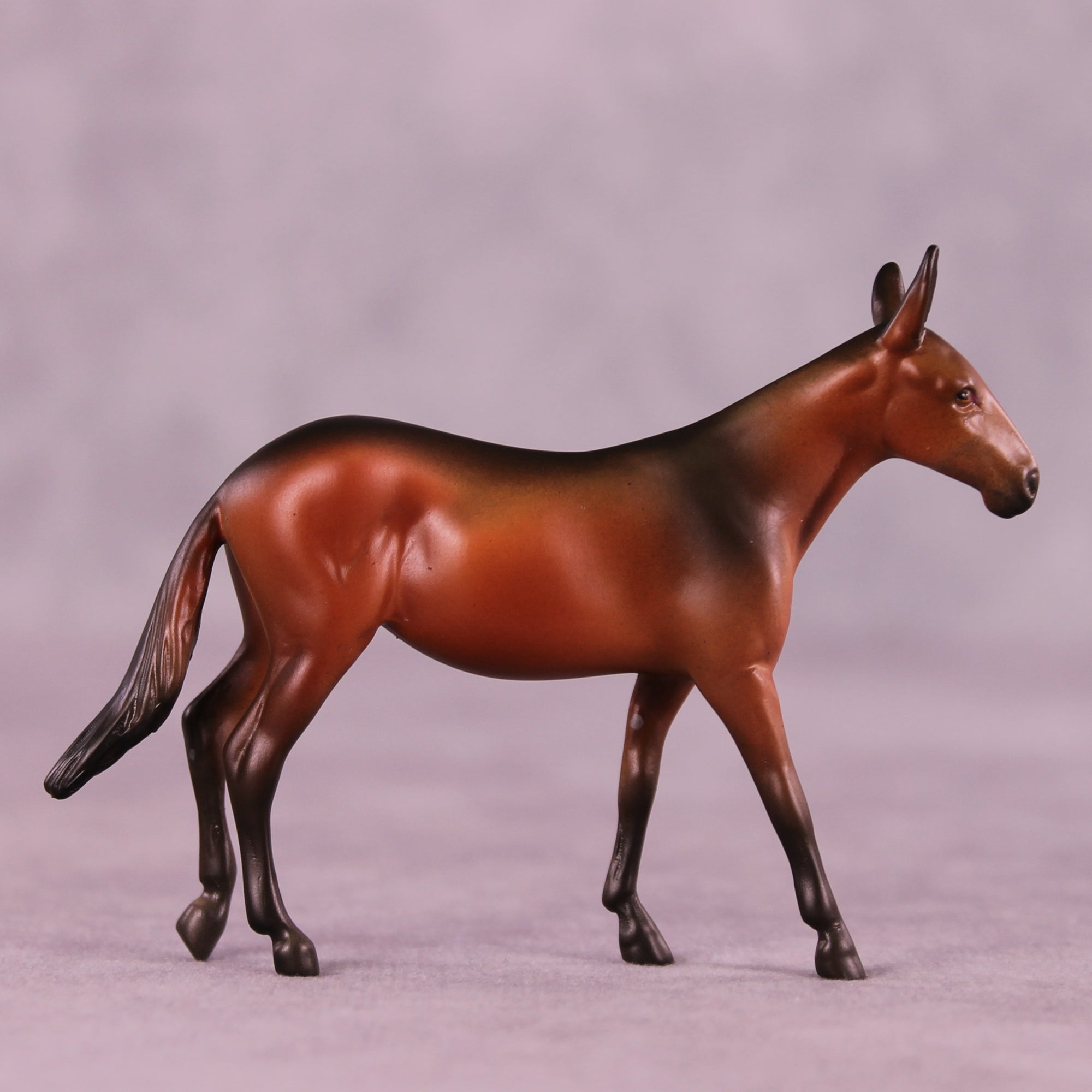 Mocha Latte LE-5 Chip Mule by Anna Rieck October $99 Chips