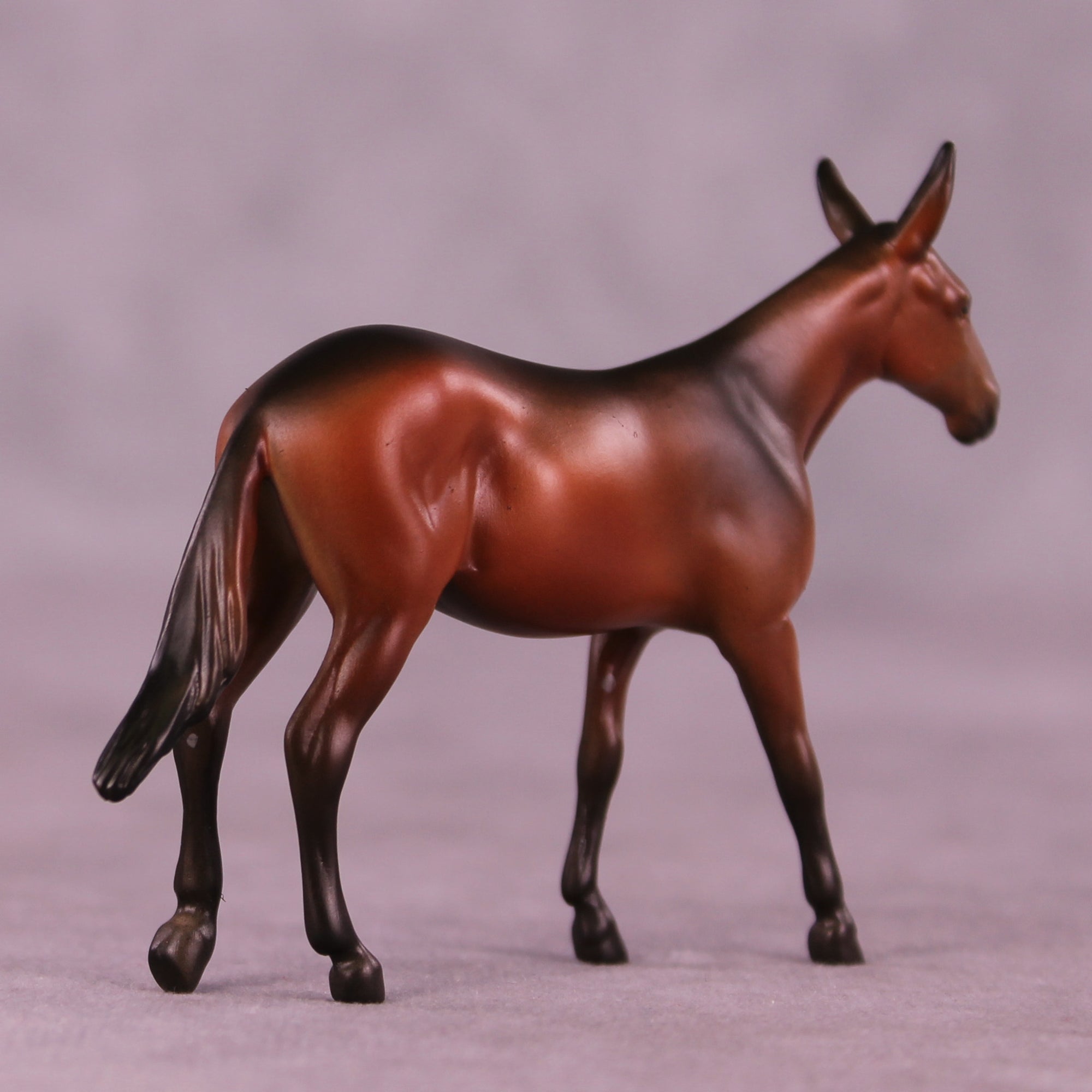 Mocha Latte LE-5 Chip Mule by Anna Rieck October $99 Chips