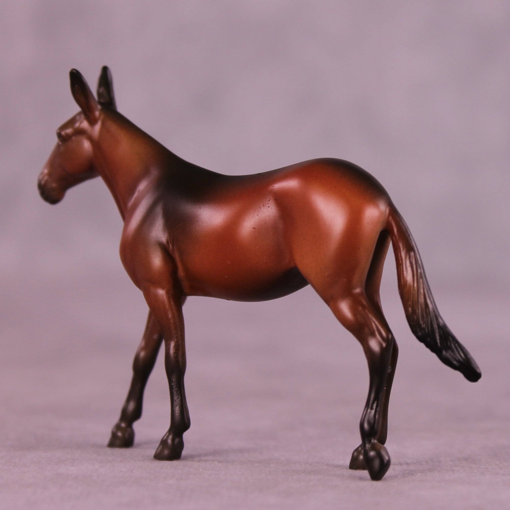 Mocha Latte LE-5 Chip Mule by Anna Rieck October $99 Chips