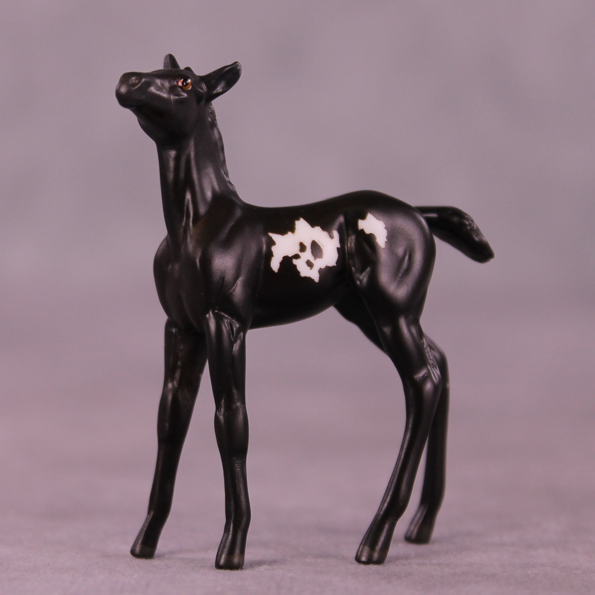 Coffee Bean LE-5 Chip Foal by Anna Rieck October $99 Chips