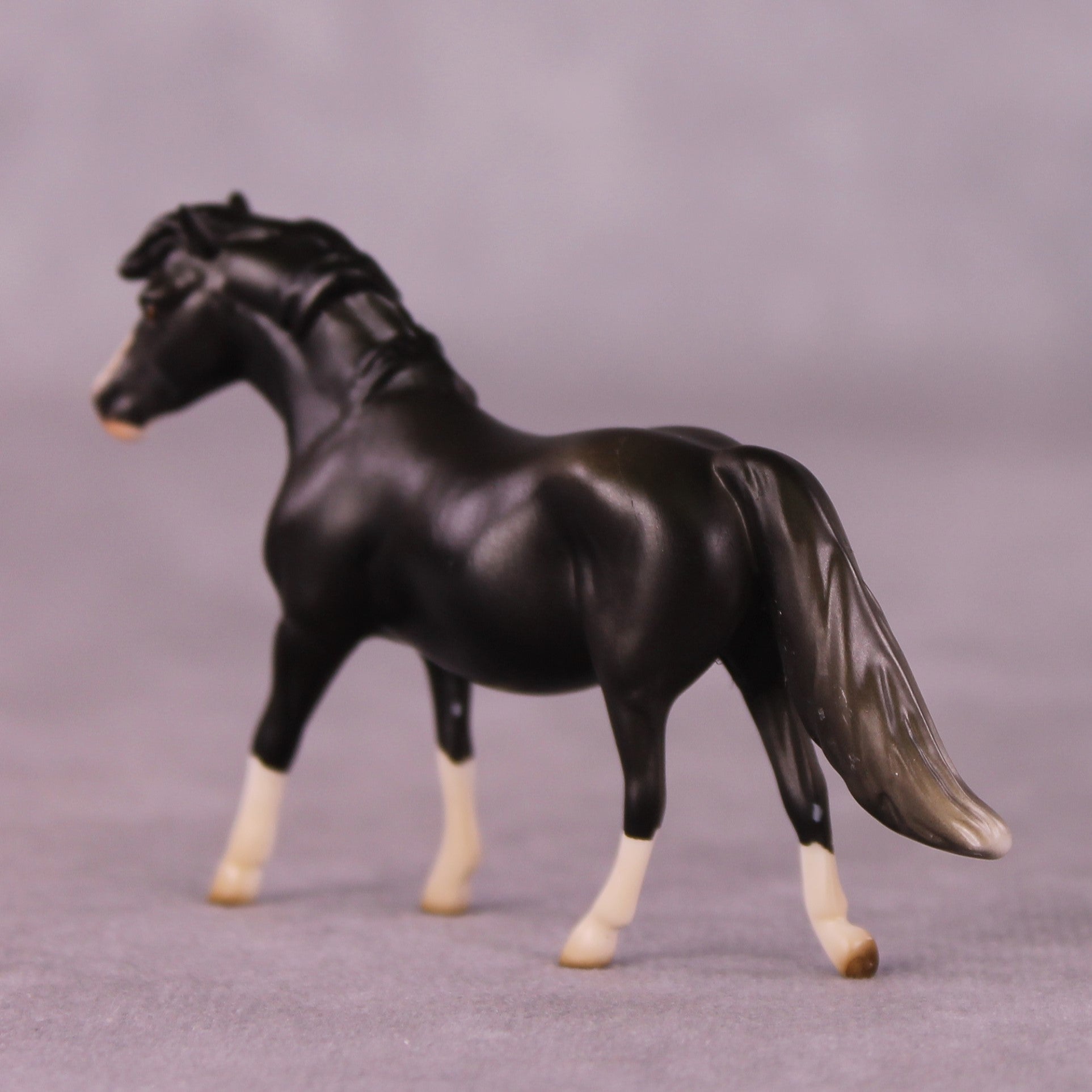 "Minimus" OOAK Pony Chip By Jess Hamill - Menagerie Series