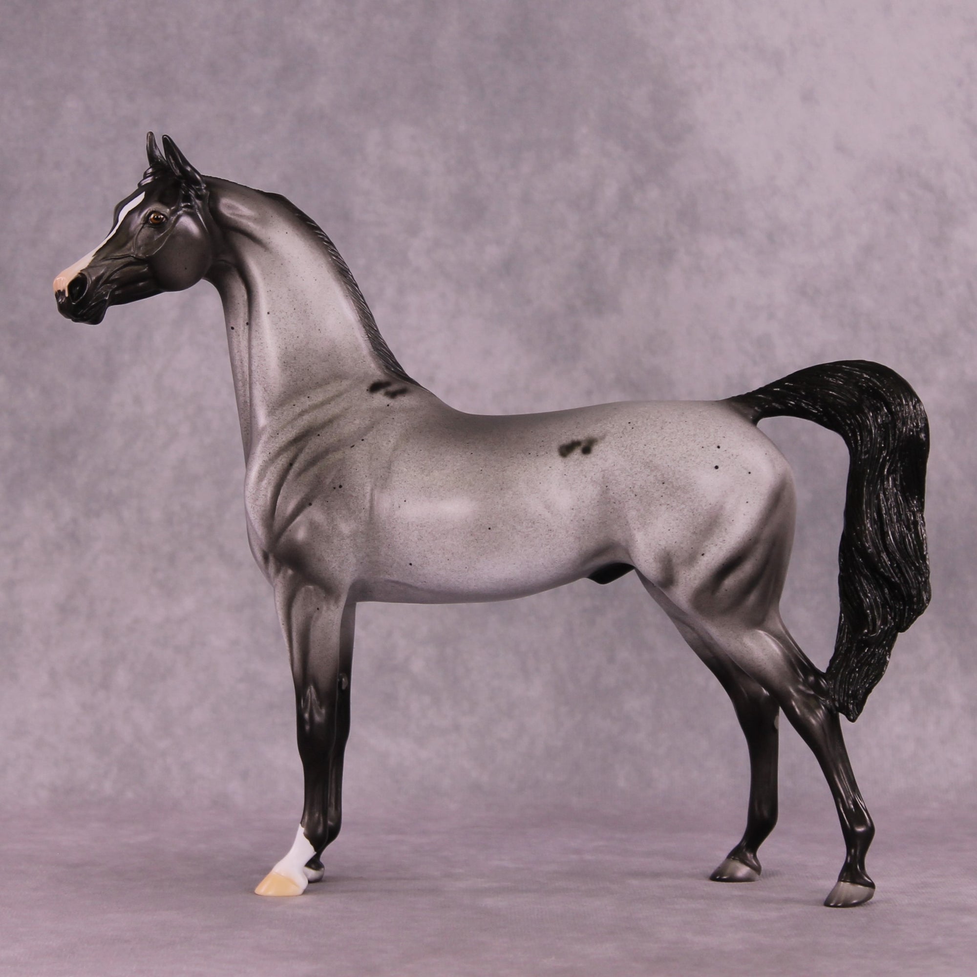 Clifford Sky or Conspicuous LE-12 Arabian By Dawn Quick FS25