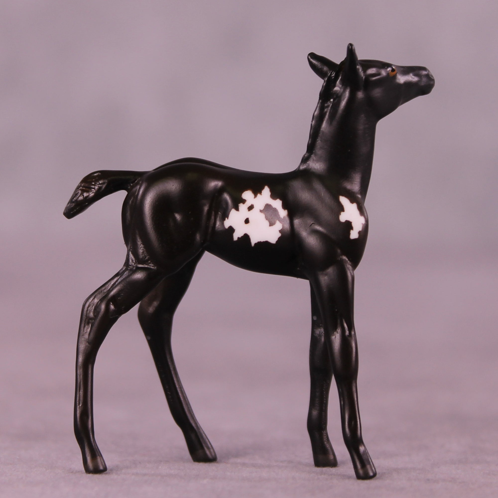 Coffee Bean LE-5 Chip Foal by Anna Rieck October $99 Chips