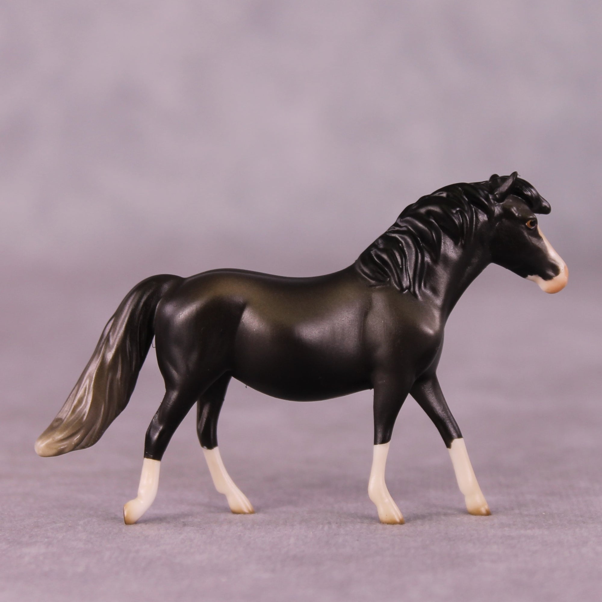 "Minimus" OOAK Pony Chip By Jess Hamill - Menagerie Series