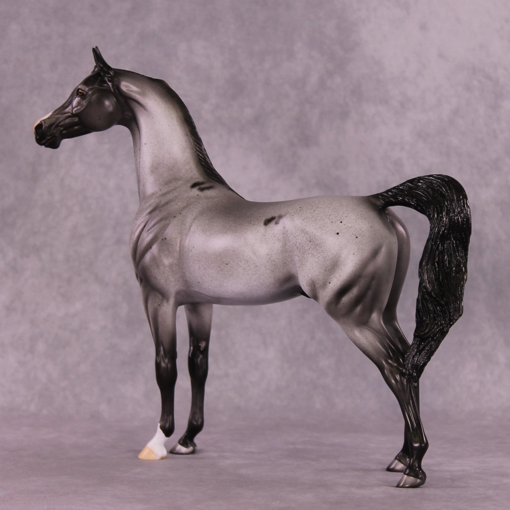 Clifford Sky or Conspicuous LE-12 Arabian By Dawn Quick FS25