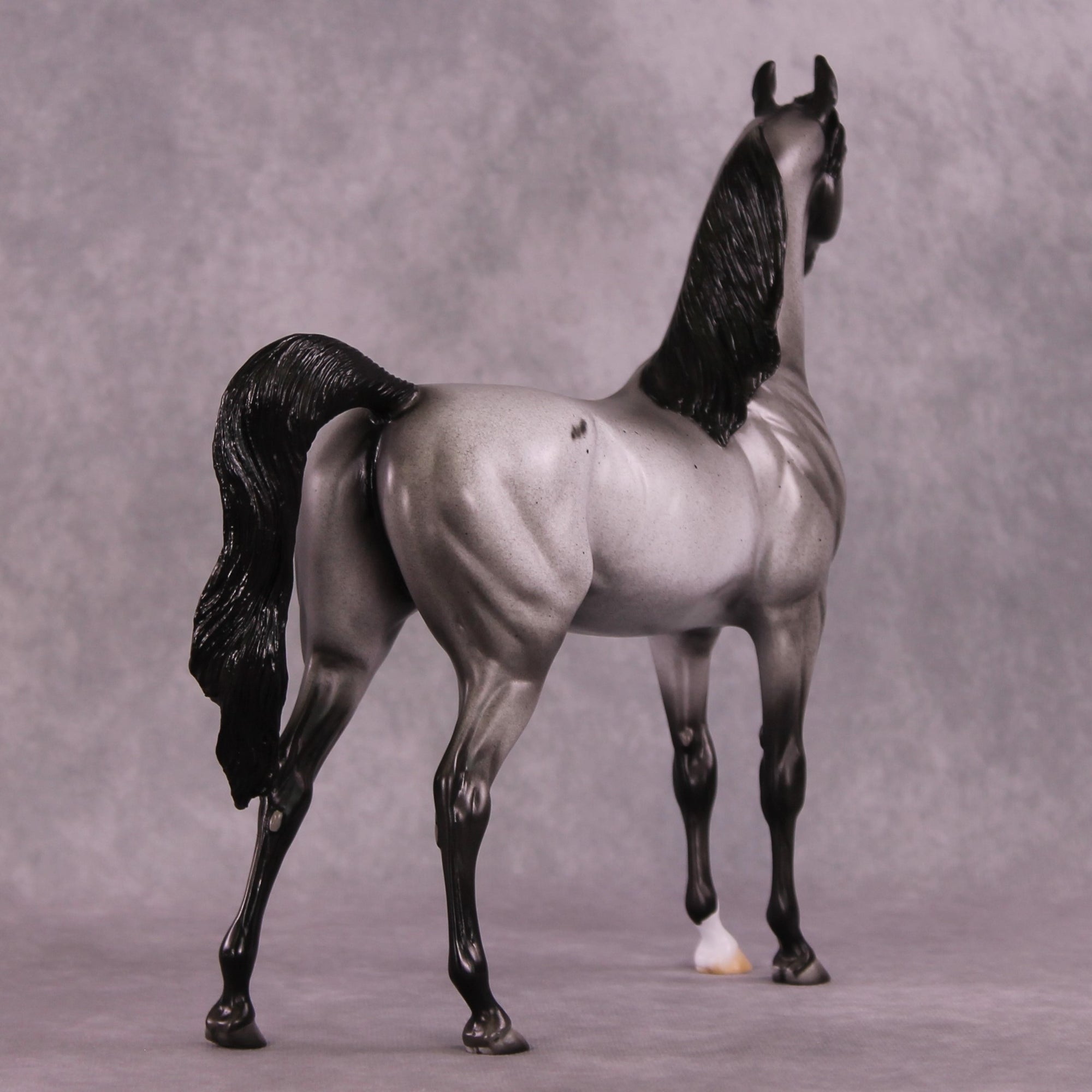 Clifford Sky or Conspicuous LE-12 Arabian By Dawn Quick FS25