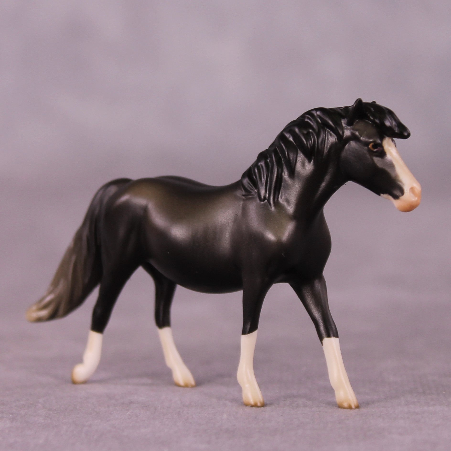"Minimus" OOAK Pony Chip By Jess Hamill - Menagerie Series