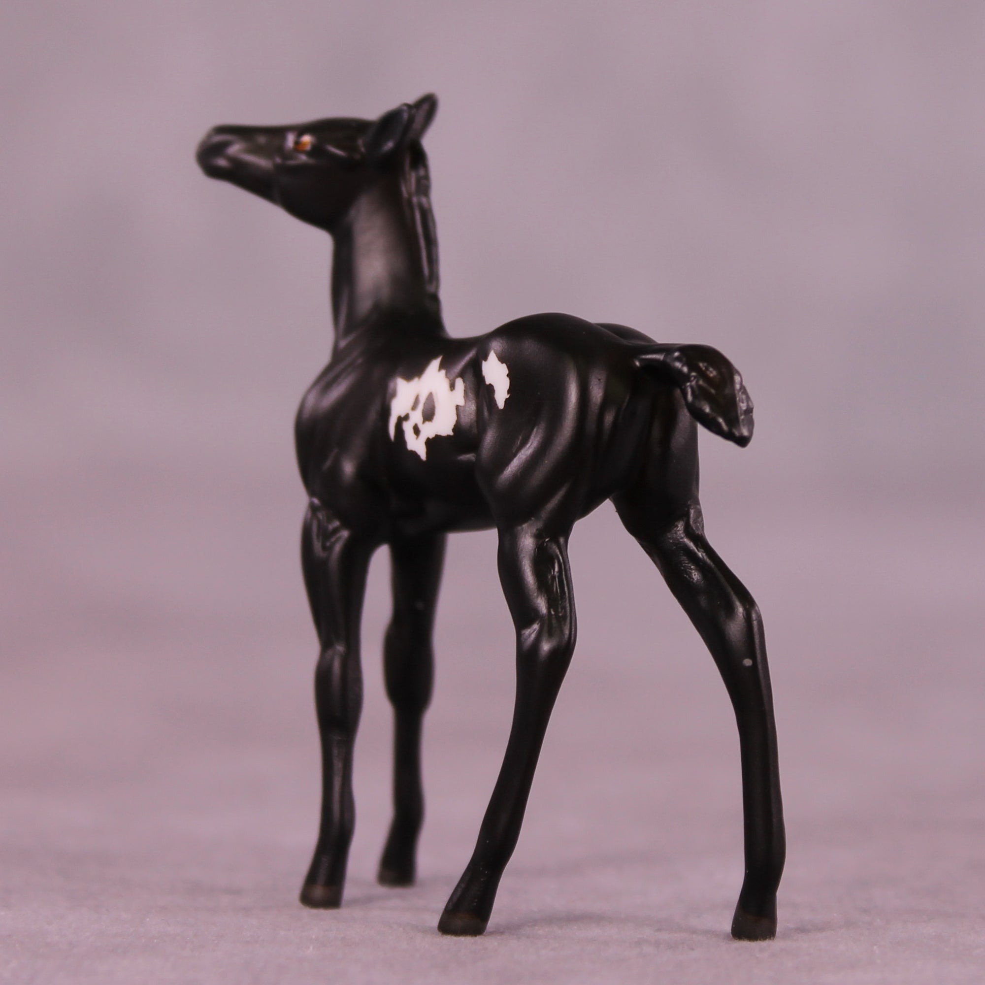 Coffee Bean LE-5 Chip Foal by Anna Rieck October $99 Chips