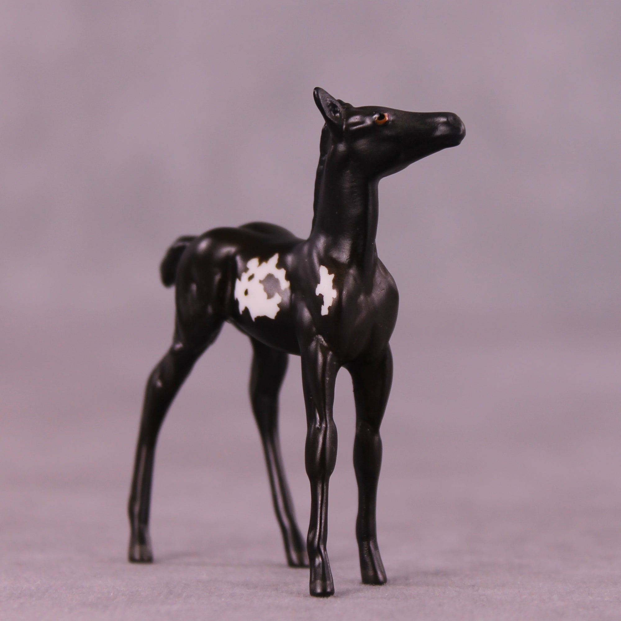 Coffee Bean LE-5 Chip Foal by Anna Rieck October $99 Chips