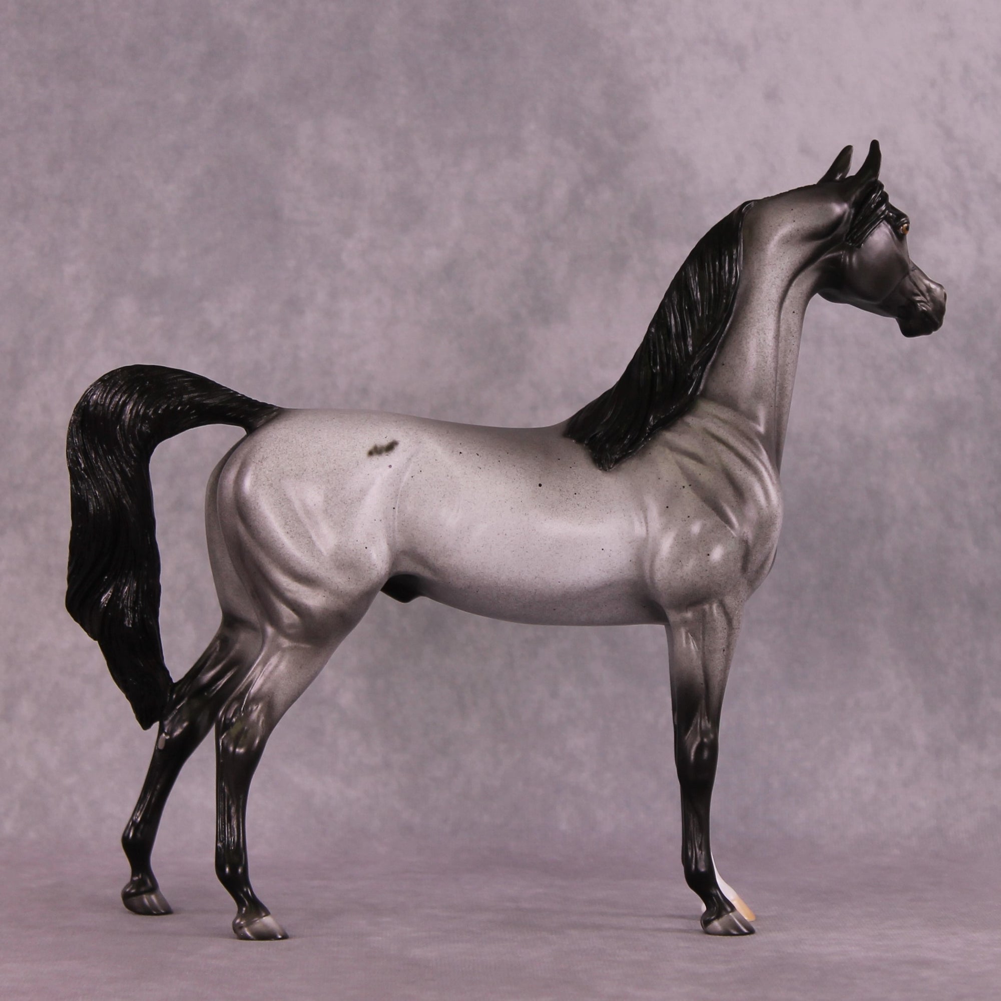 Clifford Sky or Conspicuous LE-12 Arabian By Dawn Quick FS25