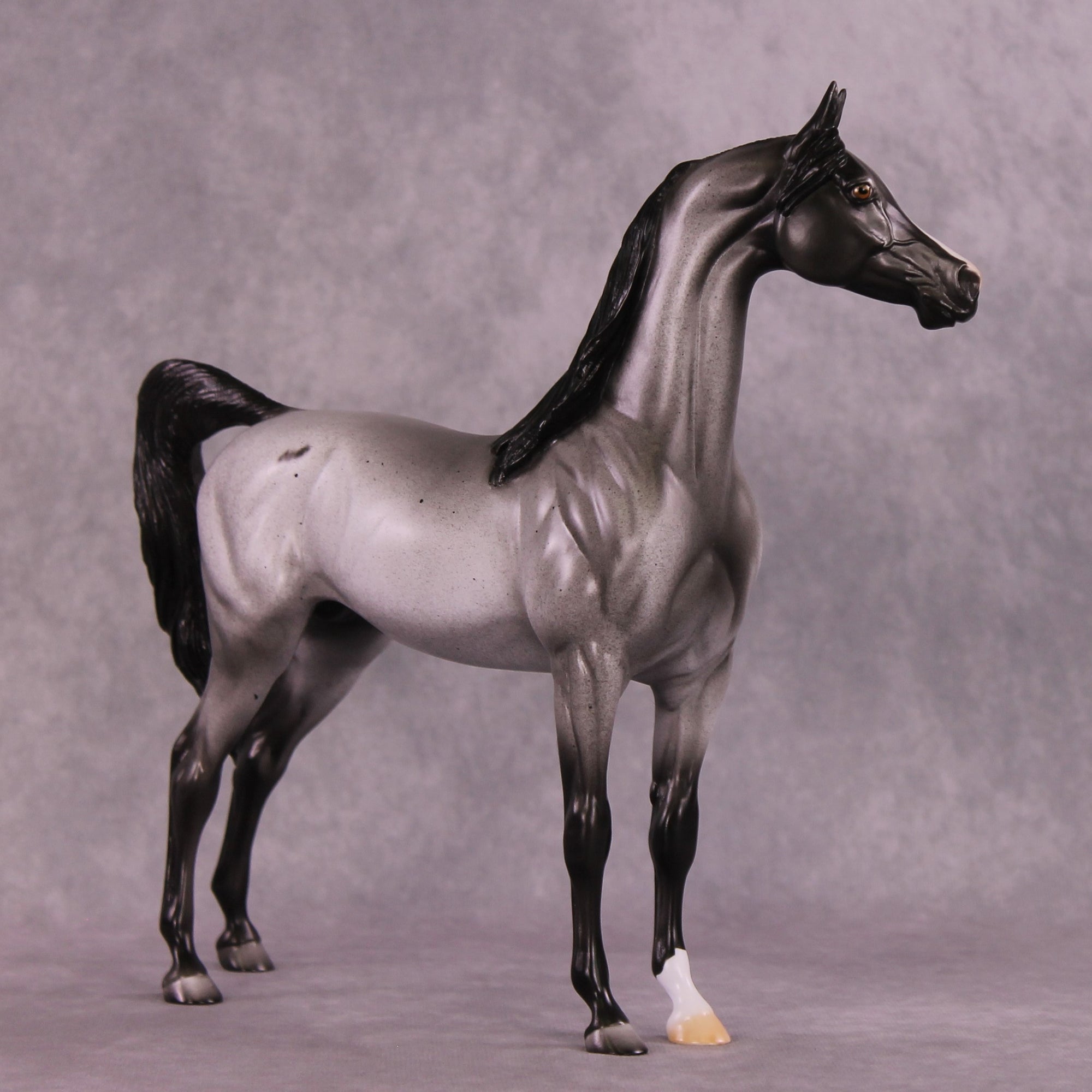 Clifford Sky or Conspicuous LE-12 Arabian By Dawn Quick FS25