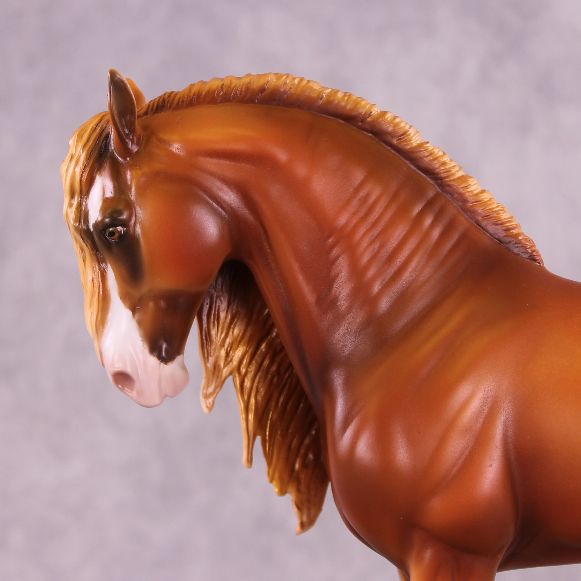 Pumpkin Spice OOAK FCM Andalusian by Mindy Berg Best Offer 9/16/2025