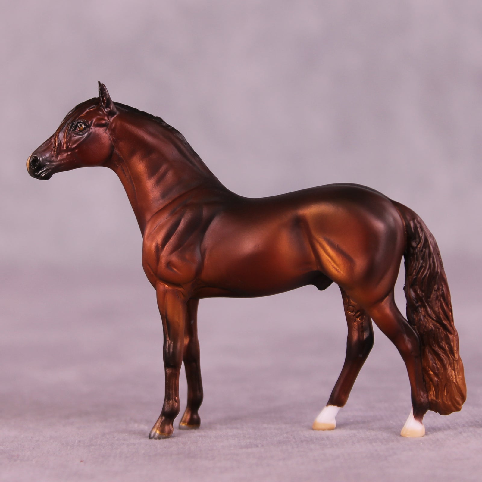 Shel OOAK Andalusian Chip by Julie Keim LHS25