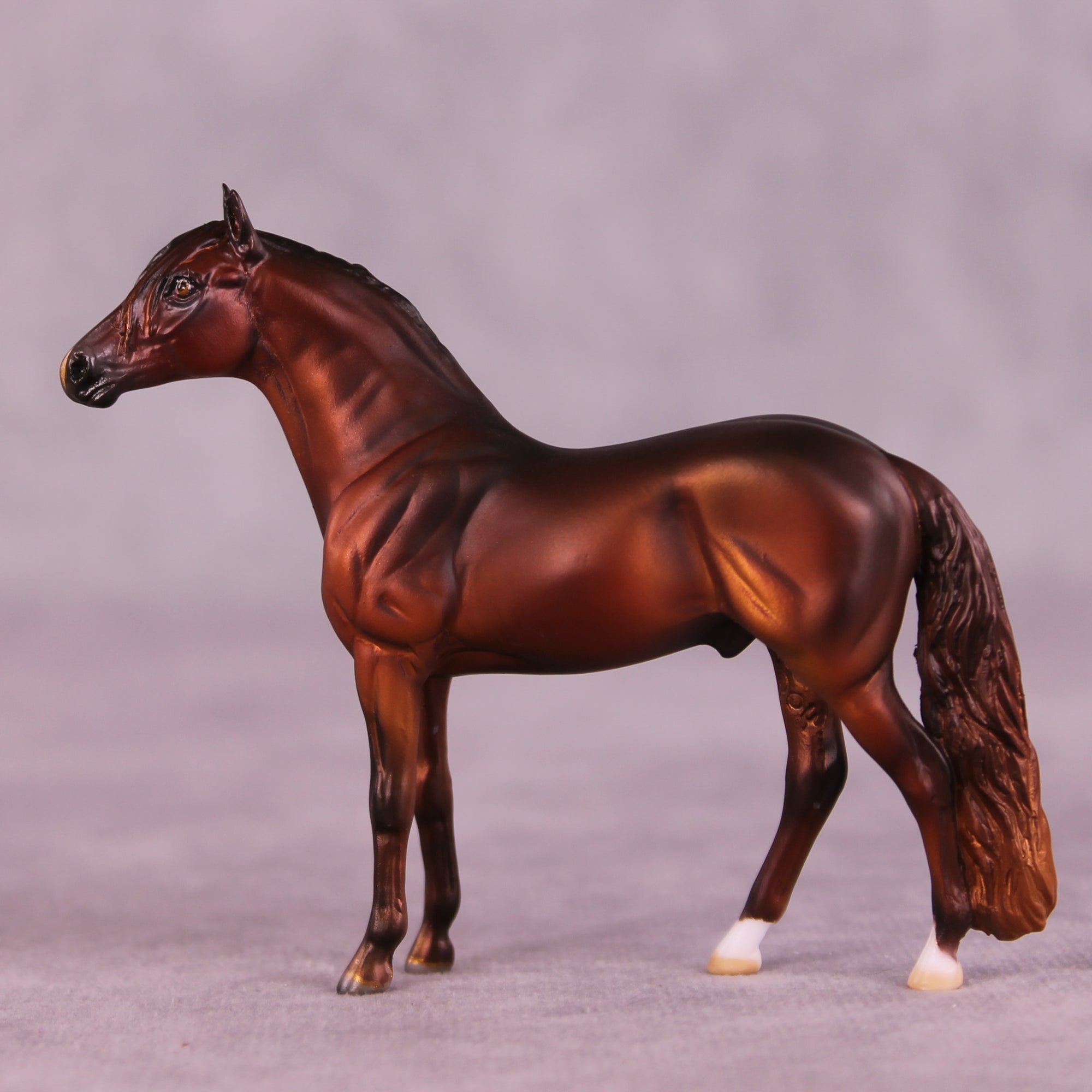 Shel OOAK Andalusian Chip by Julie Keim LHS25