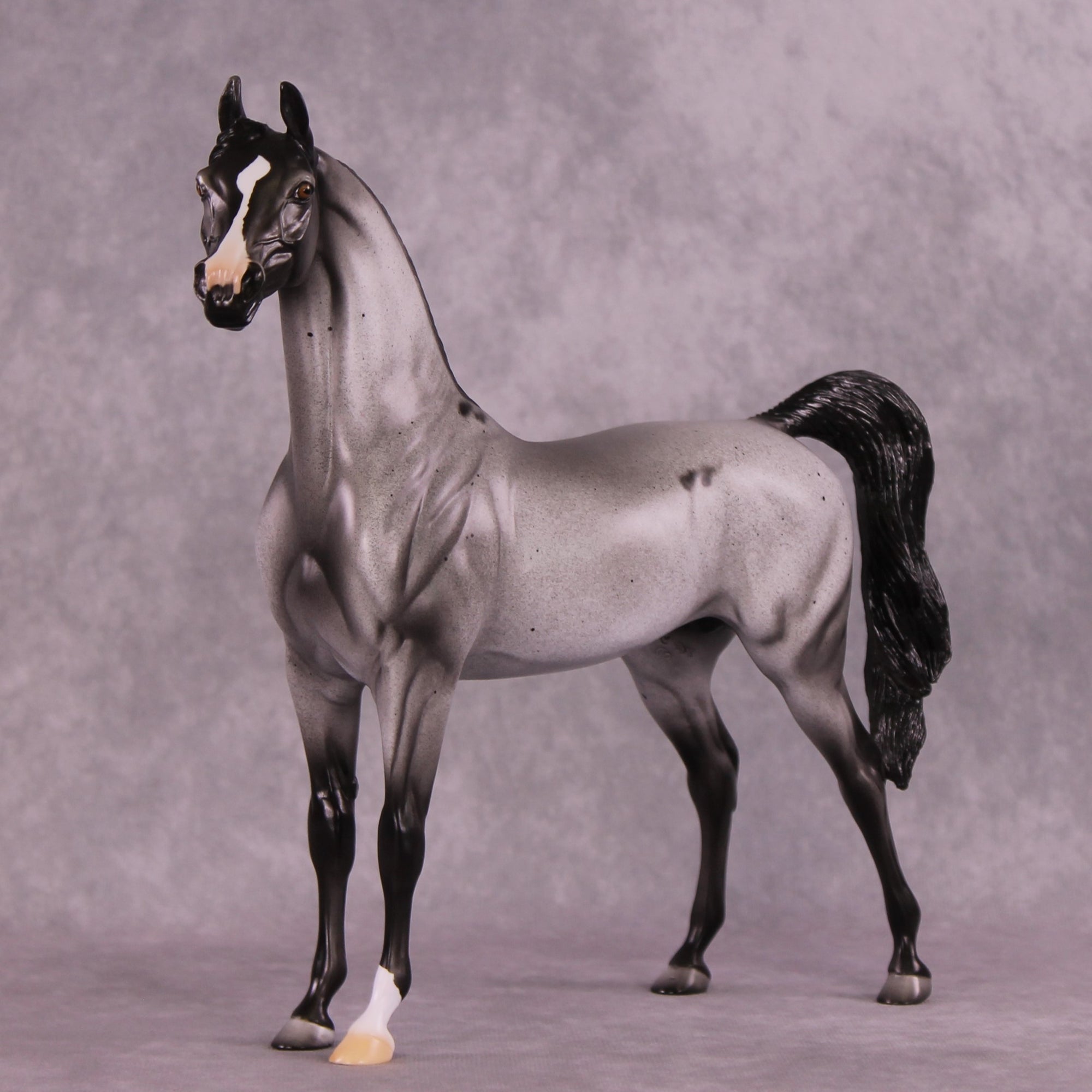 Clifford Sky or Conspicuous LE-12 Arabian By Dawn Quick FS25